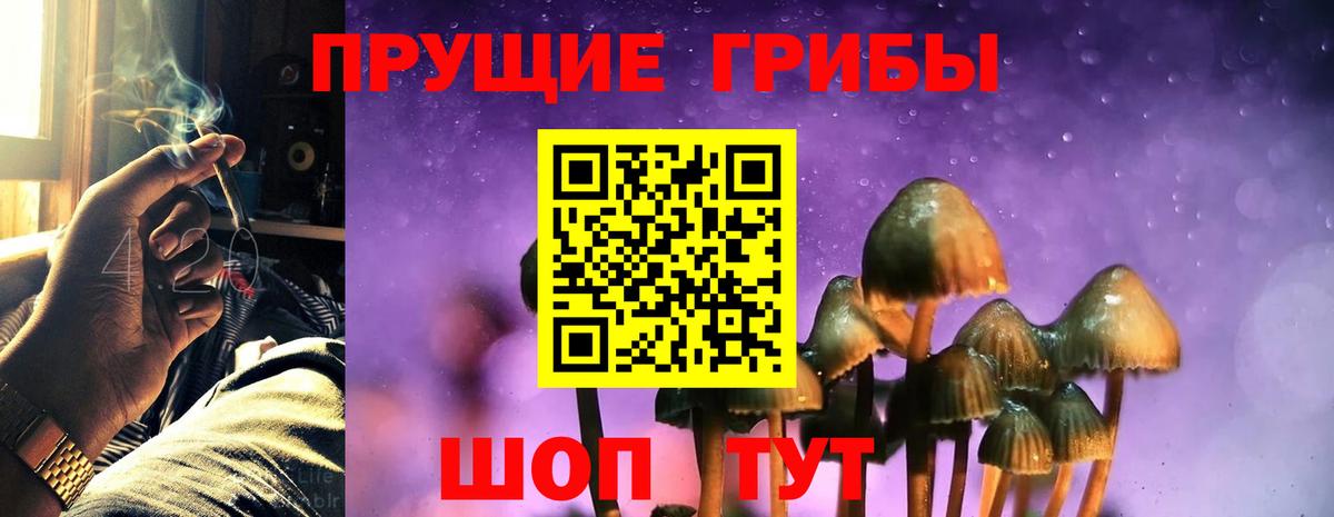 Галлюциногенные грибы GOLDEN TEACHER Десногорск