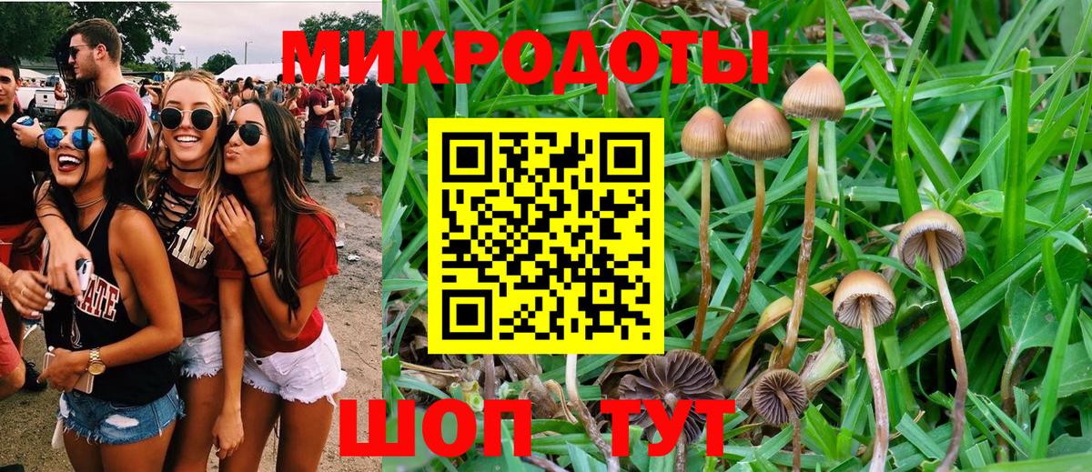 Галлюциногенные грибы Magic Shrooms  Вход с VPN  Десногорск 