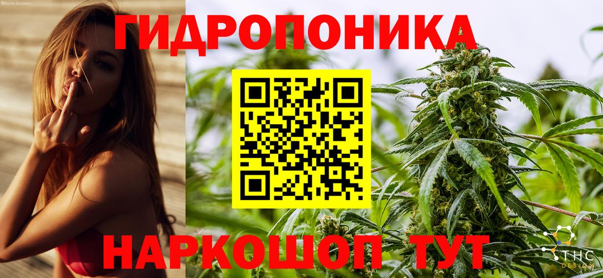 Десногорск  Конопля индика  Вход с VPN  Канабис ГИДРОПОН  Канабис Bruce Banner 